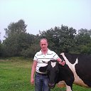 ���� ������, ������������, 52 ���� - ��������� 29 ������ 2016 � ������ ���� ����������