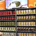 ���� ������, ������, 28 ��� - ��������� 23 ������� 2017