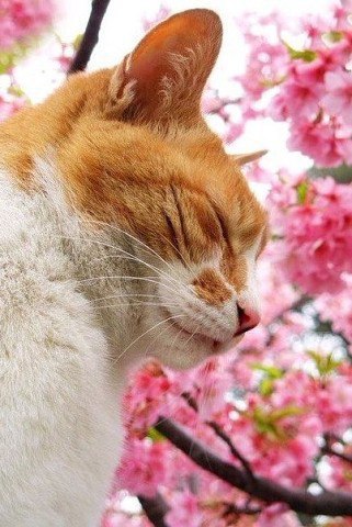  - 16  2017  19:48 - 4