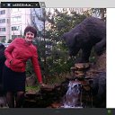 ���� ����, �������-���������, 65 ��� - ��������� 14 ������ 2017