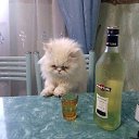 ���� ��������, ���������, 60 ��� - ��������� 21 �������� 2016 � ������ �������