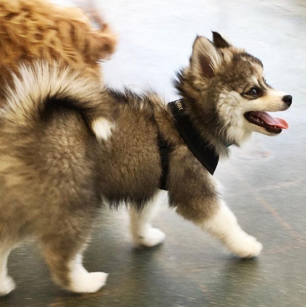 �����������, ��� ������ � ����� �������������� ����������� ����� �� �����. ���� �� ����� ����� ����� ... - 9