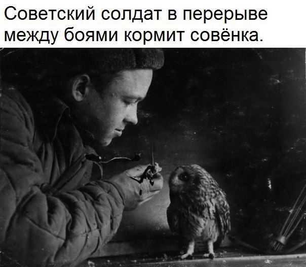 - 6  2017  22:12