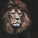 ���� ������, �����-���������, 36 ��� - ��������� 11 ������� 2016 � ������ ���� ����������