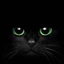 ���� �����, ������, 27 ��� - ��������� 20 ����� 2017 � ������ ���� ����������