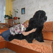 ���� �, , �����