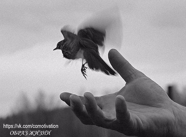 Когда люди уходят - отпускай. Судьба исключает лишних. Это не значит, что они плохие. Это значит, ...