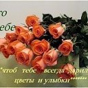 ���� ������, ������-���, 51 ��� - ��������� 23 ������� 2017 � ������ ������ ��������