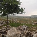 ���� Fazil, ���� - ��������� 29 ����� 2017 � ������ ���� ����������