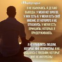 ���� Mao Mao, ������� - ��������� 11 ������� 2016 � ������ ���� ����������