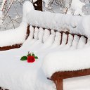 ���� ������, �����������, 52 ���� - ��������� 31 ������ 2017