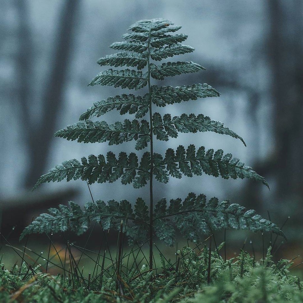  ! - 20  2017  17:42 - 3