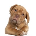 ���� ���������, �����-���������, 48 ��� - ��������� 27 ������ 2016 � ������ ���� ����������