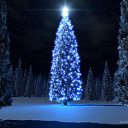���� ���������, �������-����������, 31 ��� - ��������� 23 ������� 2016 � ������ ������ ��������