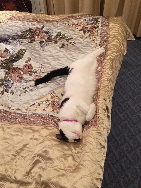 #_.   2-    :- ... - 5