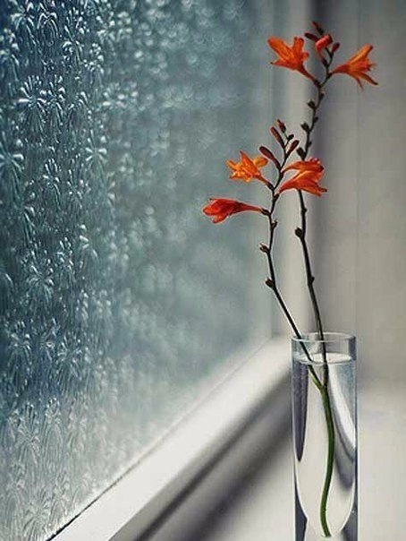      ...    ... ,      ... - 5