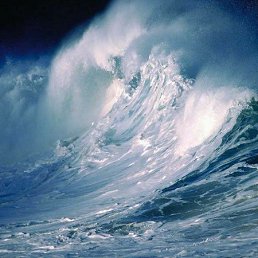 ���� ����, ������, 48 ��� - ��������� 8 ������� 2017