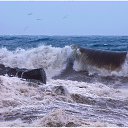  nt, , 64  -  15  2016   .