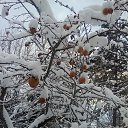 ....� ���� �� �������� ������� ����...)))) ������ ���!))) �� ������� ���� ����������
