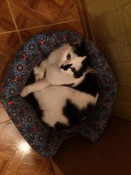 #_.   2-    :- ... - 7