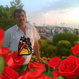 ����, ������-��-����, 61 ���