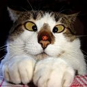 ���� ������, ������, 48 ��� - ��������� 23 ������� 2017 � ������ ���� ����������