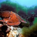 ���� �����, ������ - ��������� 1 ����� 2017 � ������ ������ ��������