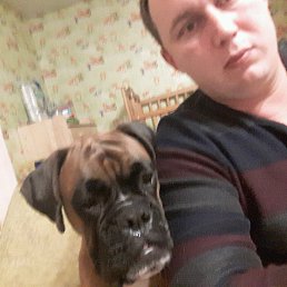 ���� ����, ������, 38 ��� - ��������� 7 ������ 2016