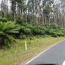 ������������� ����������� �� ������� ���� ����������