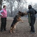 ���� Miss, ������, 49 ��� - ��������� 13 ������� 2017 � ������ ���� Bodyguard,��� ������ �������� �������������
