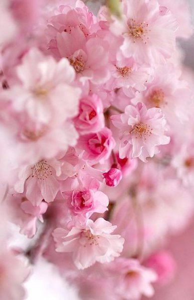 "  ..." - 16  2016  08:13 - 4