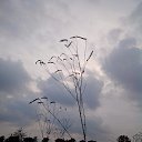 ���� ����, ���������, 67 ��� - ��������� 3 ������ 2016 � ������ ���� ����������