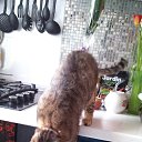 ���� ������, �����, 63 ���� - ��������� 11 ����� 2017 � ������ ����������