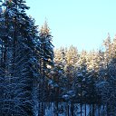  , -, 52  -  10  2017    