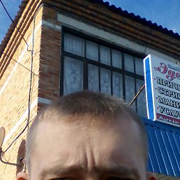 ��������, �����������, 41 ���