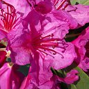 22.05.2016 �� ������� �������� ������������ ���.�