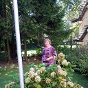 ���� ����, �����������, 81 ��� - ��������� 18 ������� 2017 � ������ ������ ��������