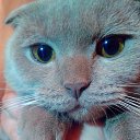 ���� �����, ����� - ��������� 30 ������� 2016 � ������ ���� ����������