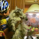  Van410328030, , 39  -  8  2016    