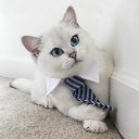 ���� Sergei, ��������� - ��������� 22 ������� 2016