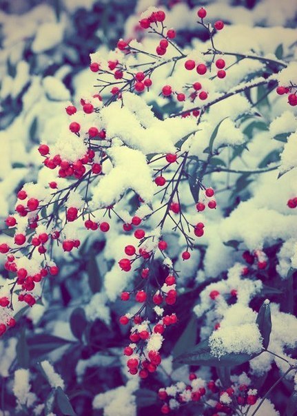  |  2016 |  |  |  - 21  2016  23:22 - 6