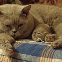 ���� Evgeni., �����, 36 ��� - ��������� 5 ������� 2016