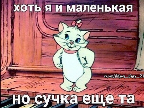 ������� �������, ����� �������.&copy; - 13 �������� 2016 � 09:02