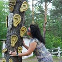 ���� ������, ������-���, 44 ���� - ��������� 14 ������ 2017 � ������ ���� ����������