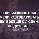 ���� ������, ���� - ��������� 7 ������� 2016 � ������ ������ ��������