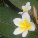 ���� ����, ����� - ��������� 13 ������� 2017 � ������ ���� ����������