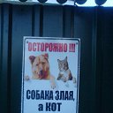 ���� �����, ���� - ��������� 23 ������� 2016 � ������ ������ ��������