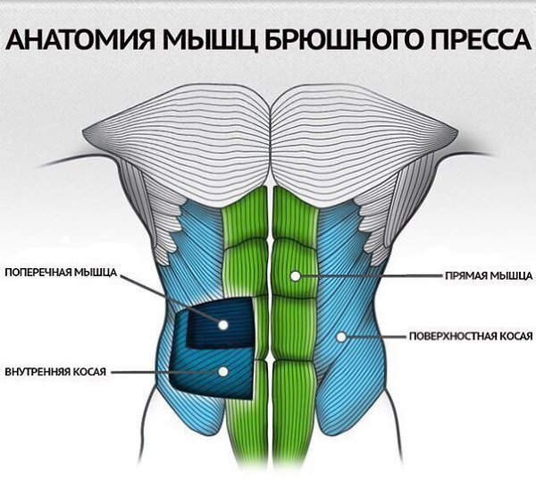 9 ошибок тренировки пресса.Скручивания для пресса могут показаться простейшим движением. Понятное ...