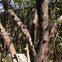 ���� �������, �����-���������, 59 ��� - ��������� 8 ������� 2016 � ������ ��������