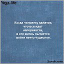 ���� �����., ������ �������� - ��������� 20 ������� 2016 � ������ ���� ����������